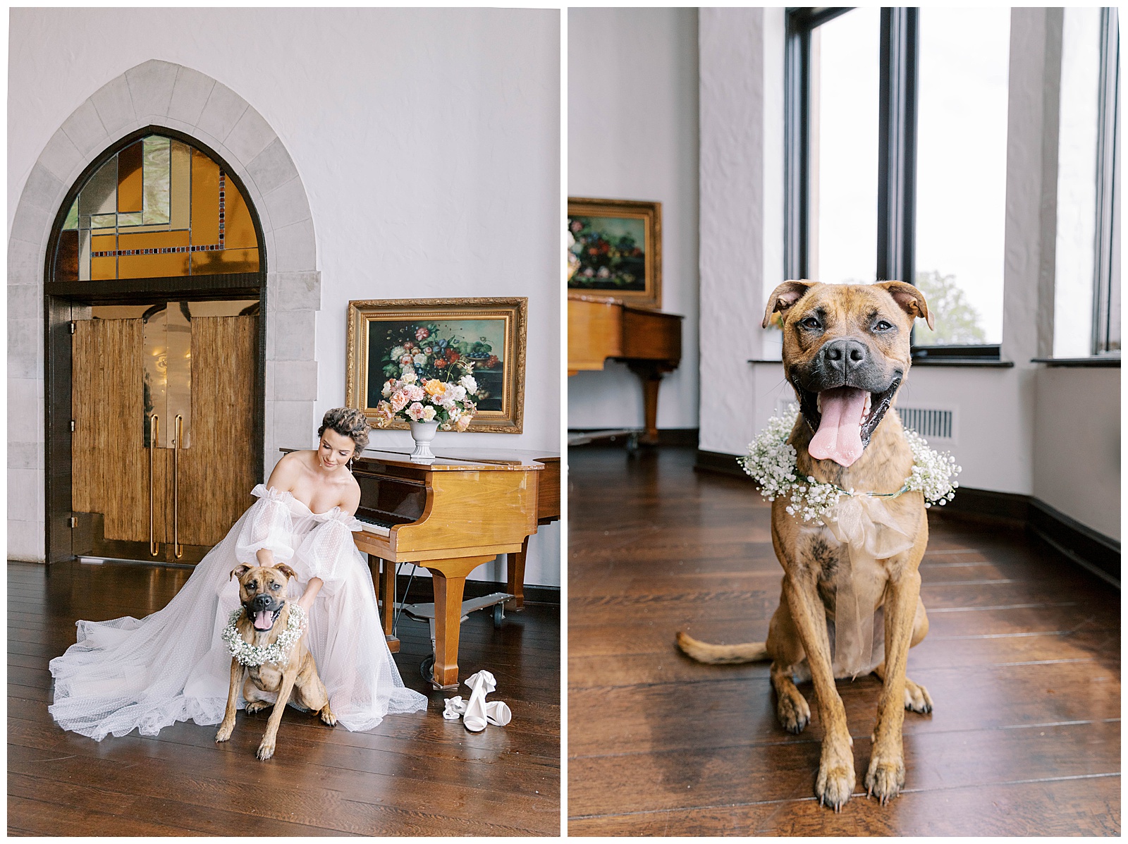 the rescue project, dog at wedding day, bride with dog