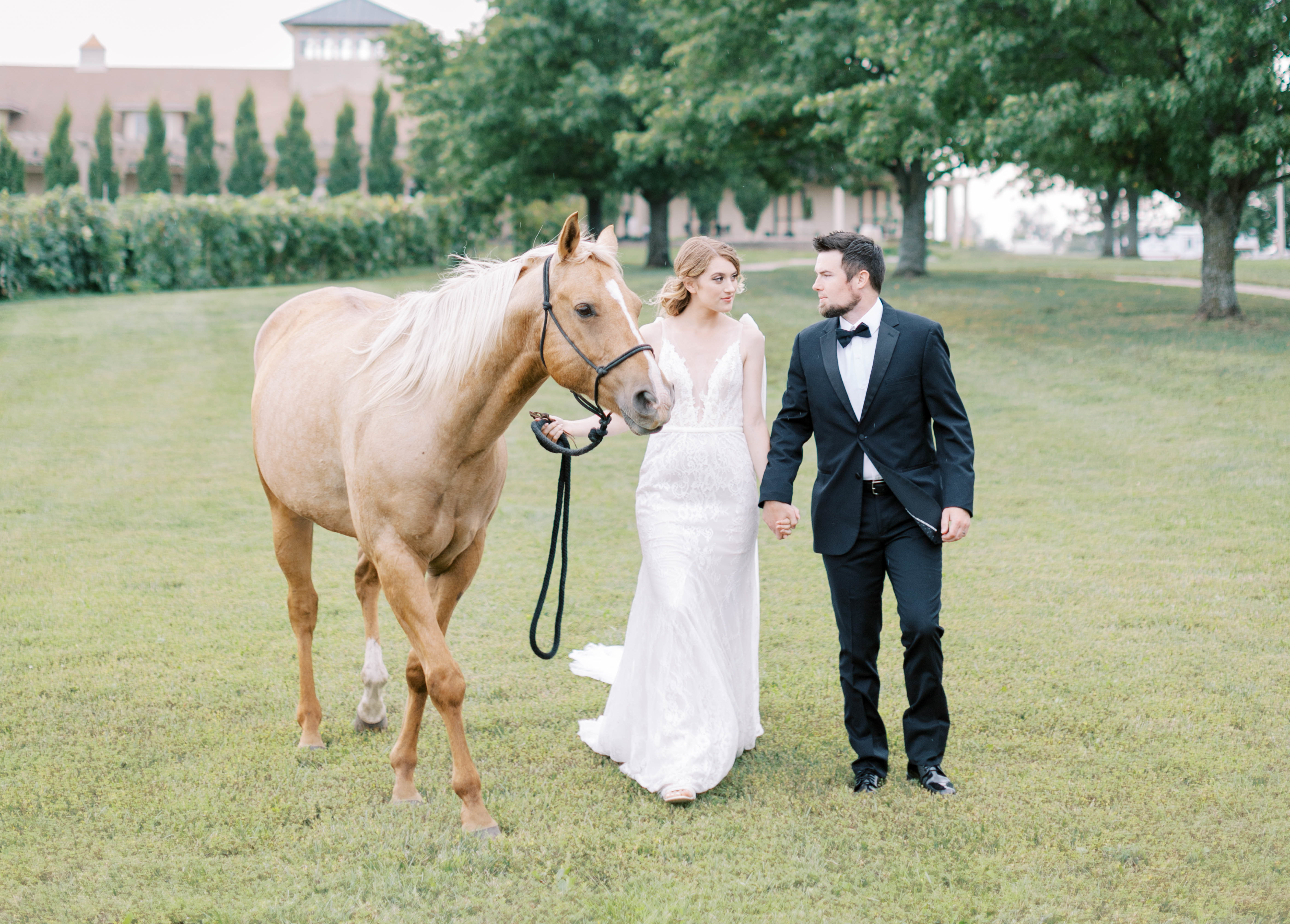 Bourgmont Winery wedding with a horse
